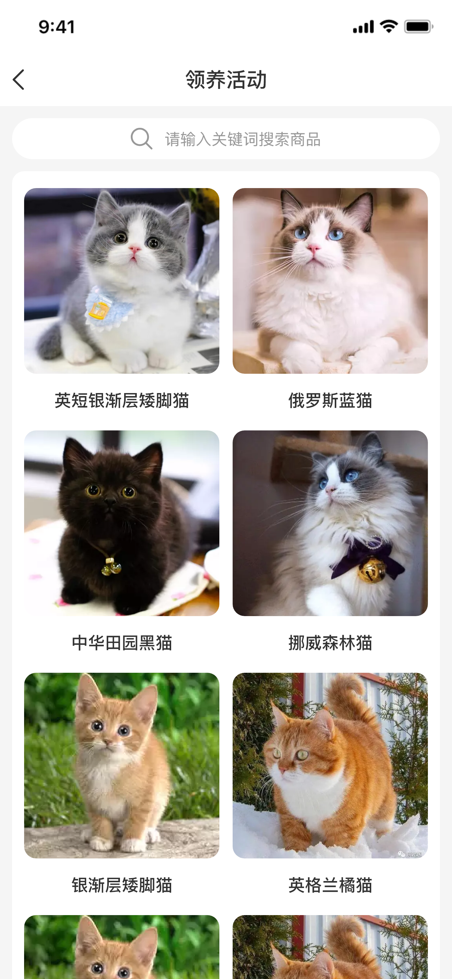 01-2领养活动.png